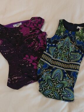 Wisp Petite dress bundle